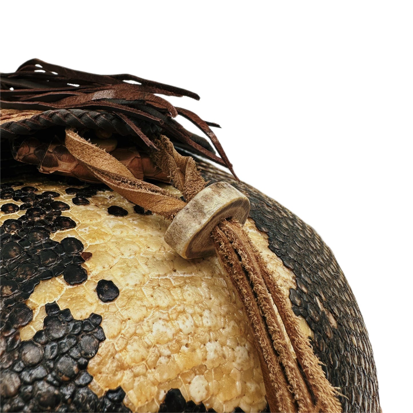 bohemian armadillo shell python bath