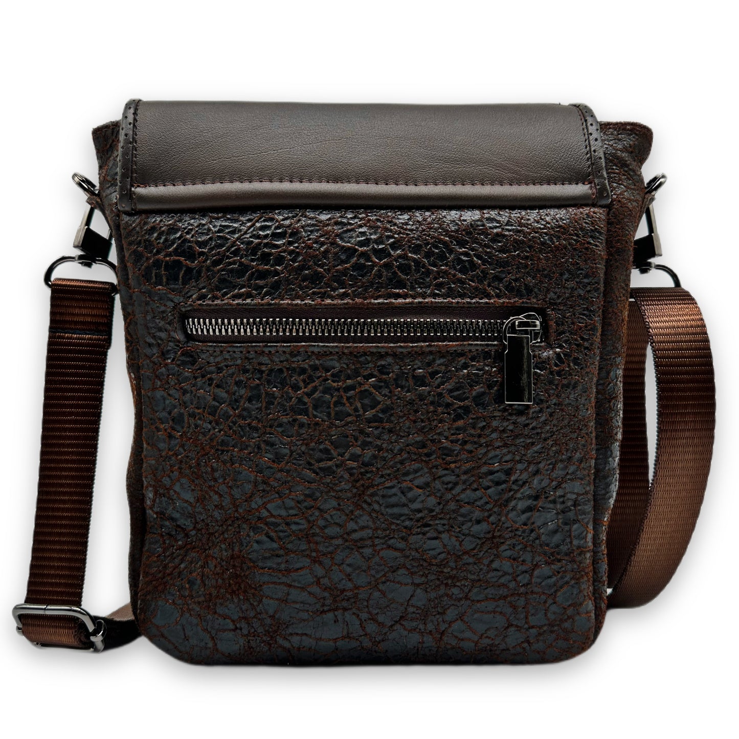 alligator back