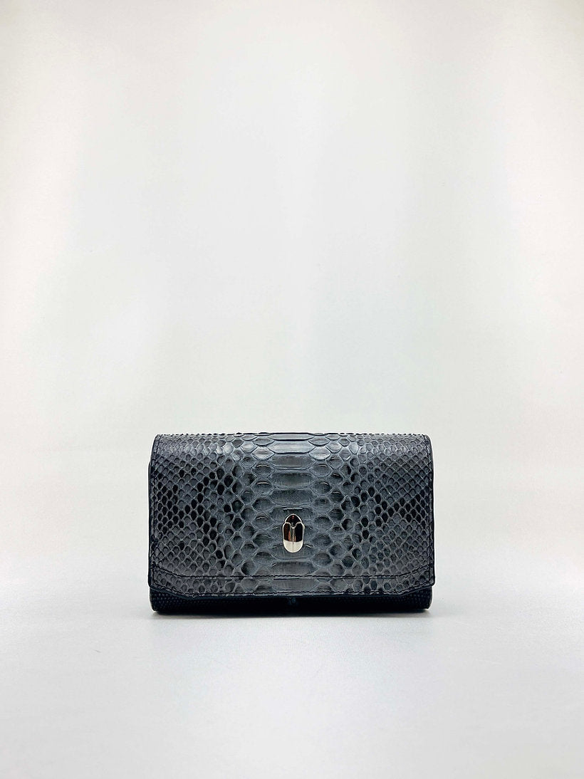 Nano Snakeskin & Lizard Clutch Bag