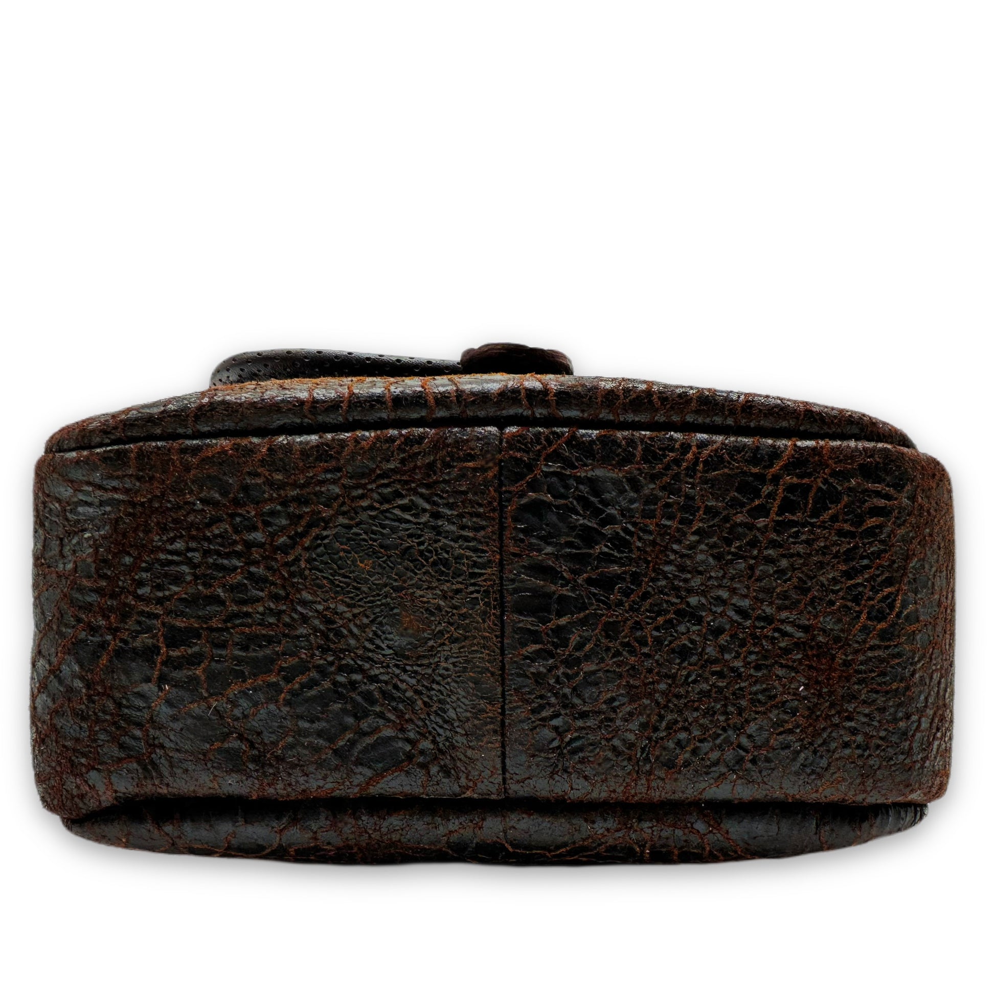 alligator bag